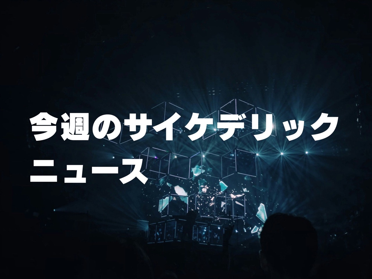 今週のサイケデリック・ニュース（2026-02-12 JST）